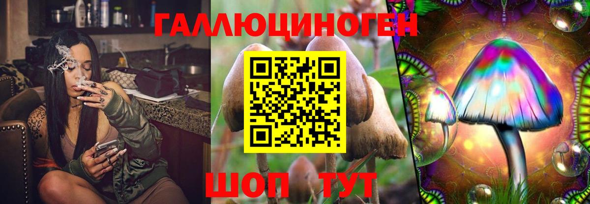 Псилоцибиновые грибы GOLDEN TEACHER Междуреченск